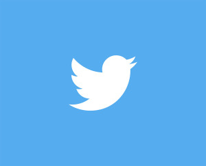 twitter logo