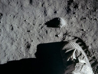 Moon Landing Buzz goes to twitter