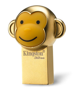 Kingston1104115645