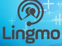 Language Translation in Seconds with Lingmo