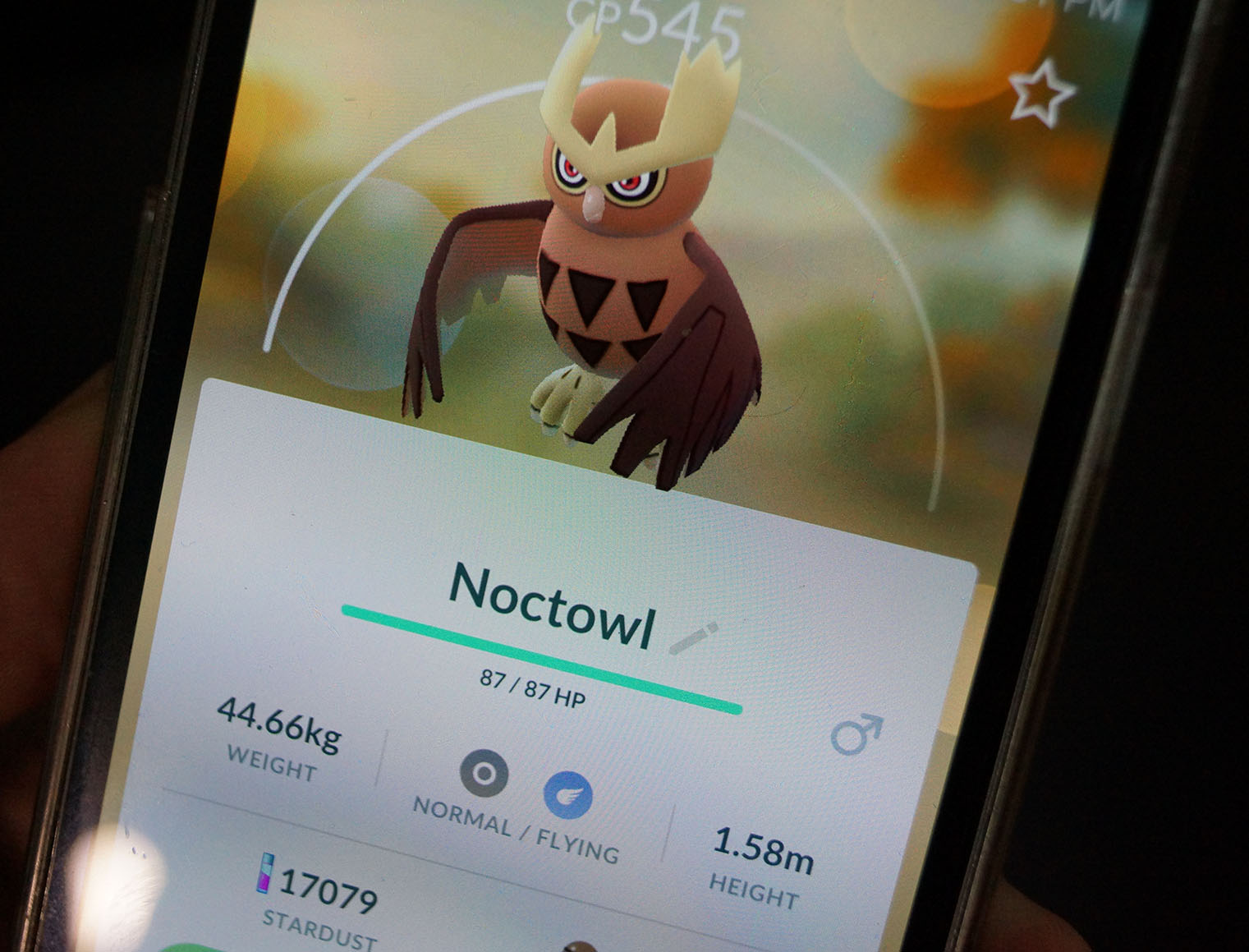 call pokémon go