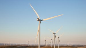 Green Apple - Tech Giant Sets Carbon Neutral Targets