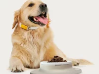 Tech Help for a Healthy Dog